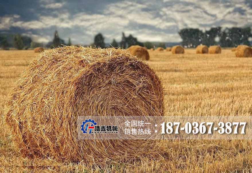 為什么說秸稈烘干市場(chǎng)前景廣闊